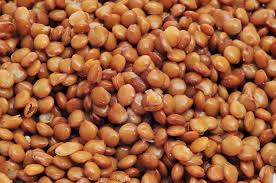 Lentilles