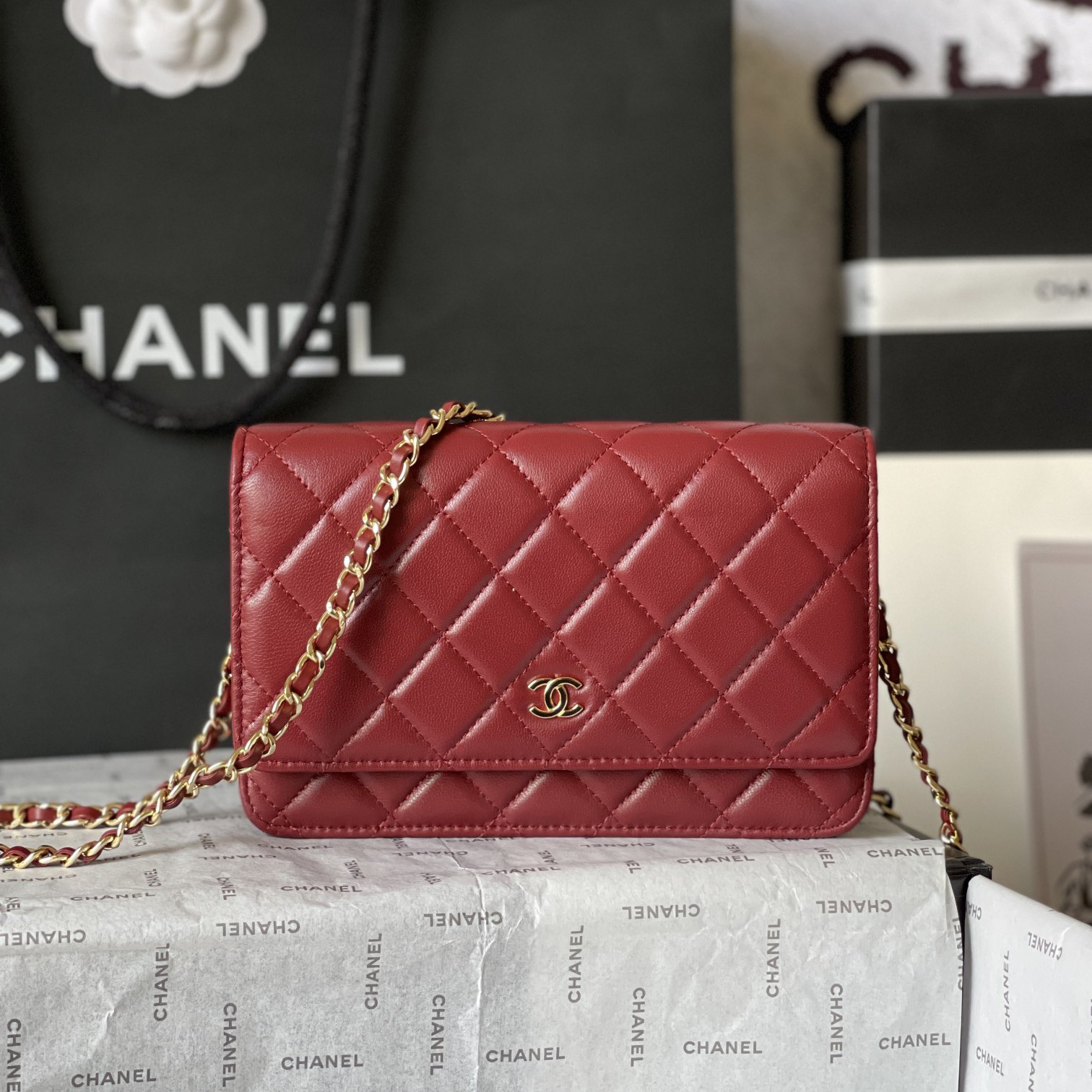 CC Bags Best Lambskin Wallet on Chain 19cm