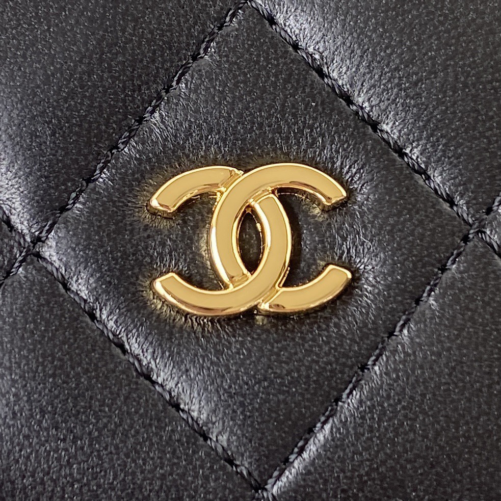 CC Bags Best Lambskin Wallet on Chain 19cm