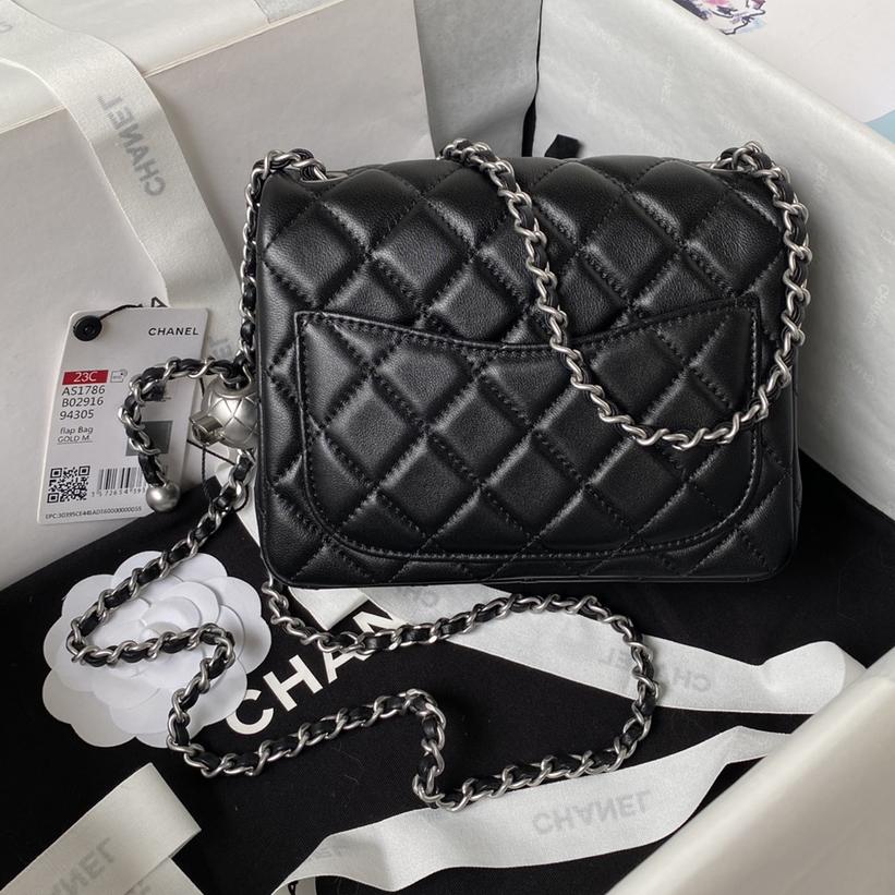 CC Bags Classic Flap Best Small