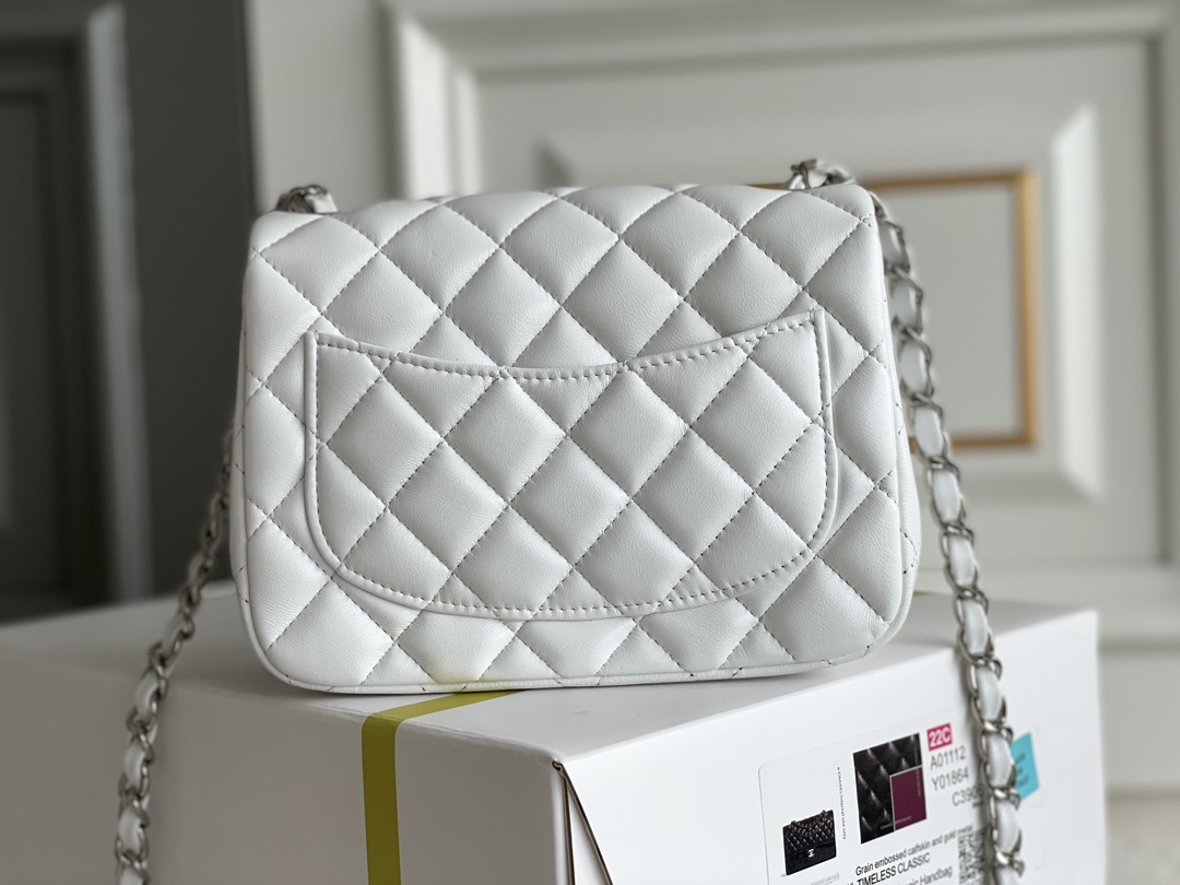 CC Bags Classic Flap Best Small