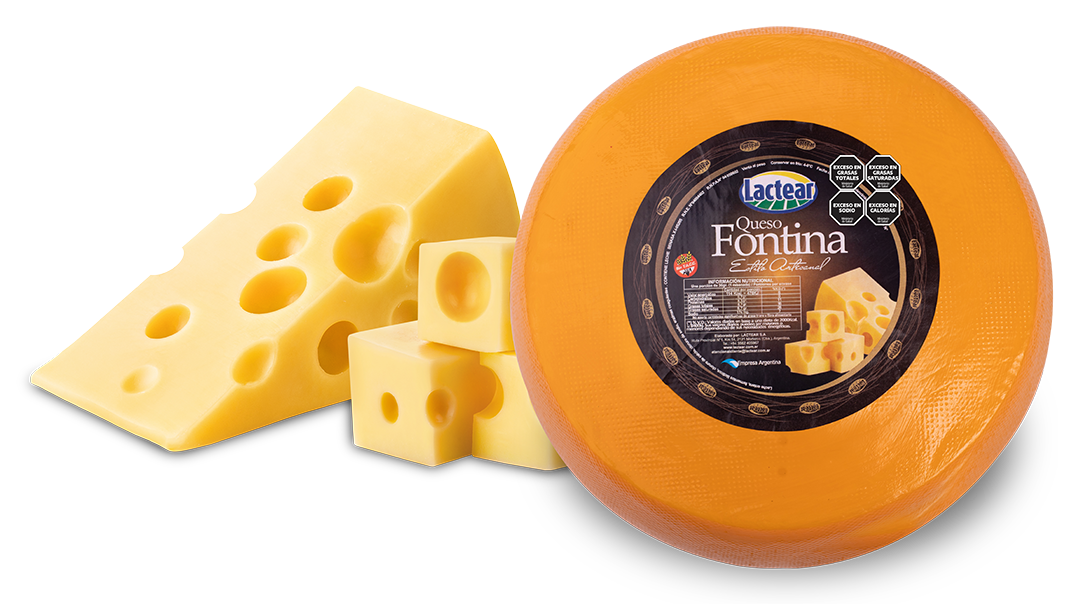 Queso Fontina