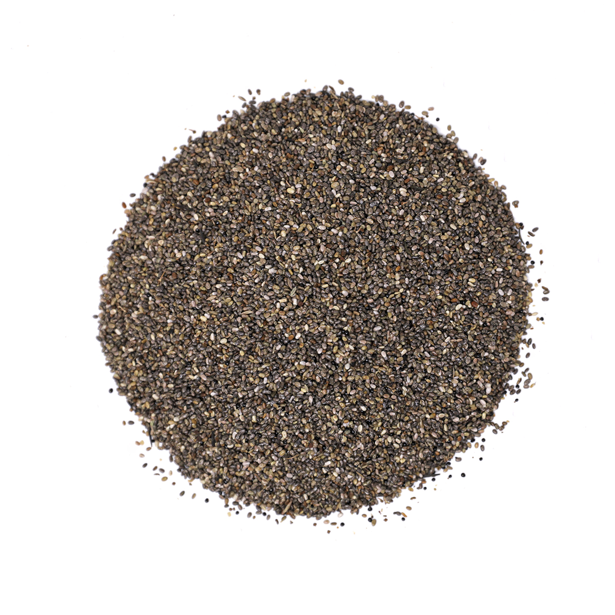 CHIA NEGRA
