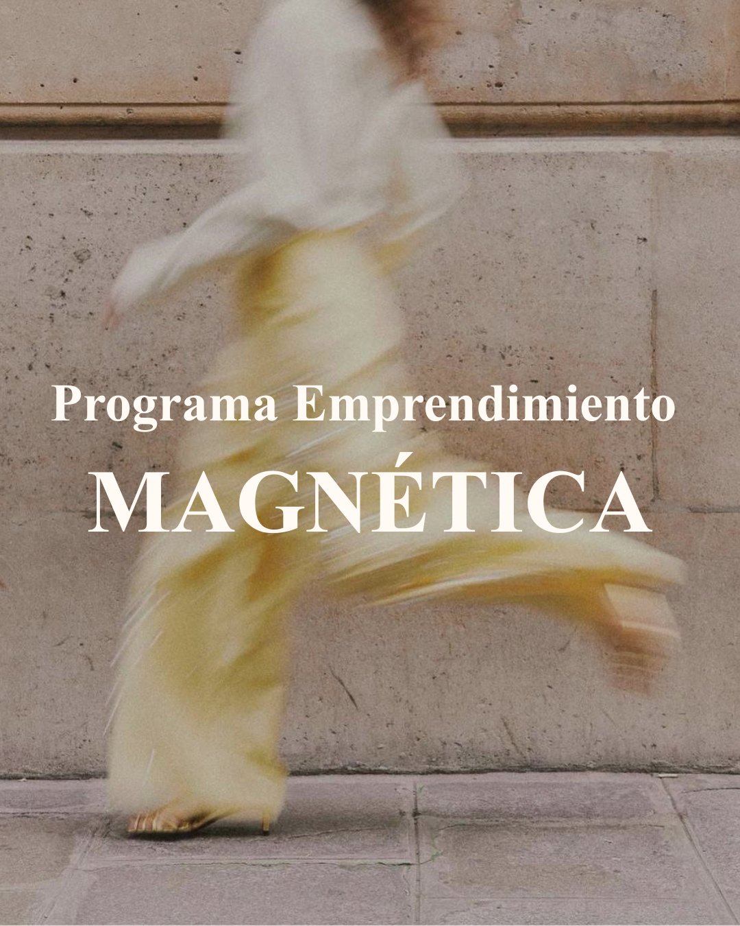 Programa Emprendimiento Magnética