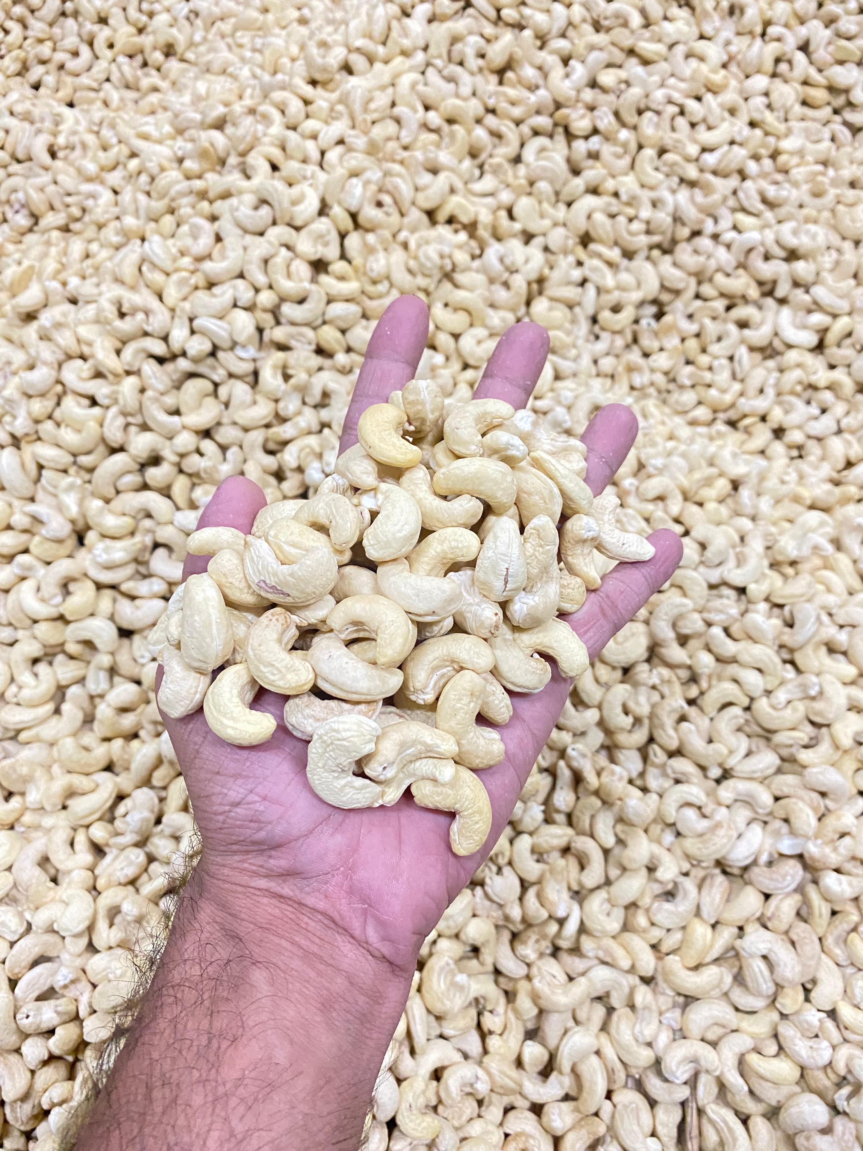 Raw Cashew Nuts
