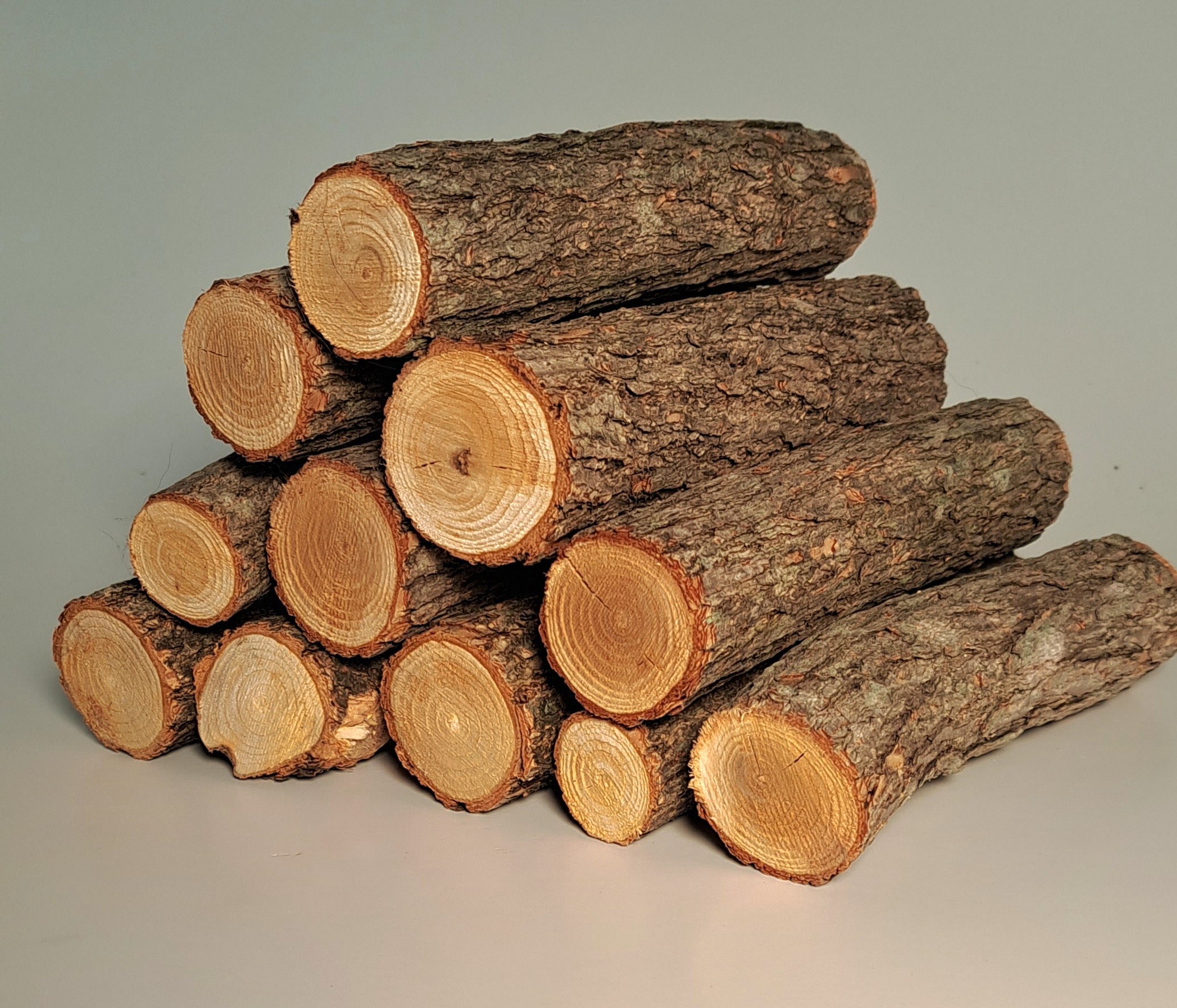 Natural Sassafras Logs
