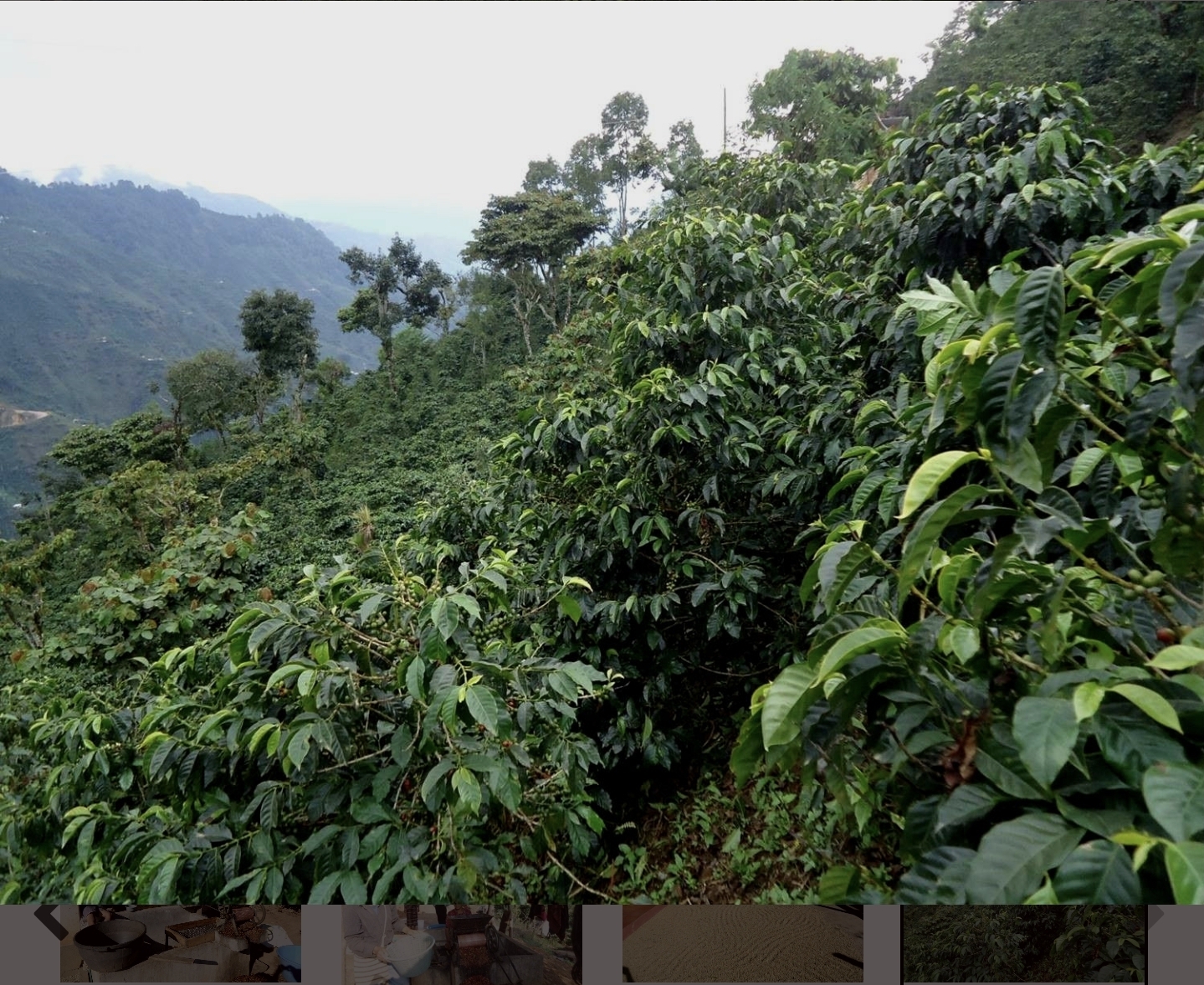 Guatemala