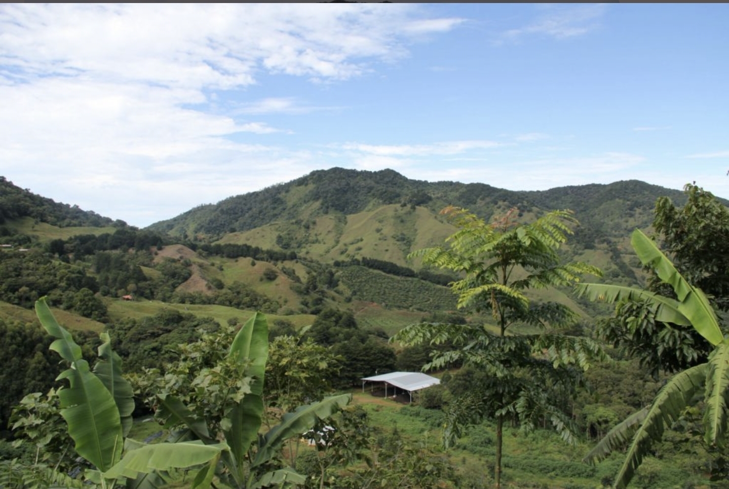 Costa Rica- Natural 