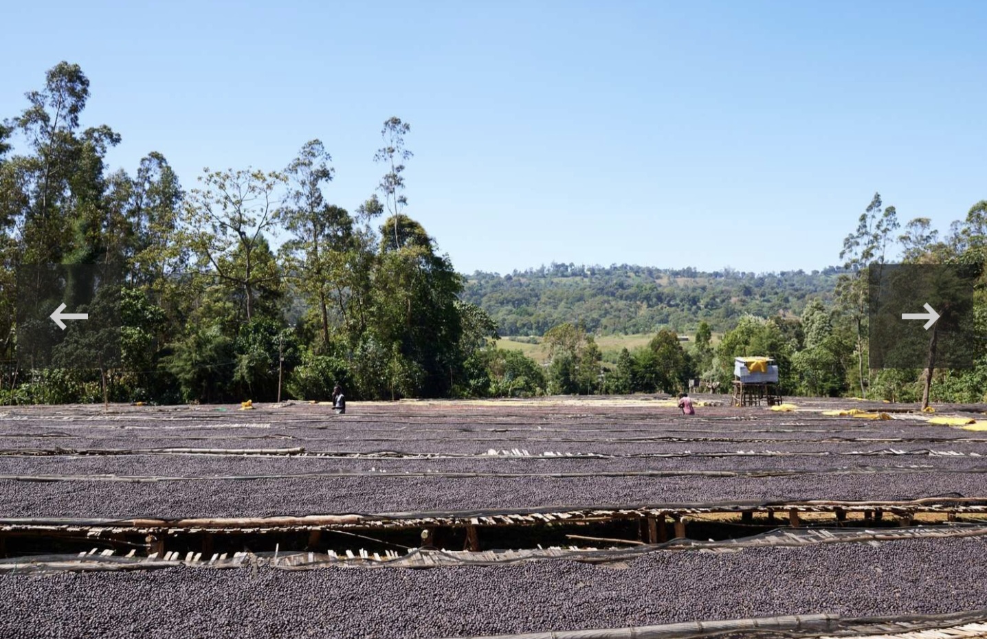 Ethiopia