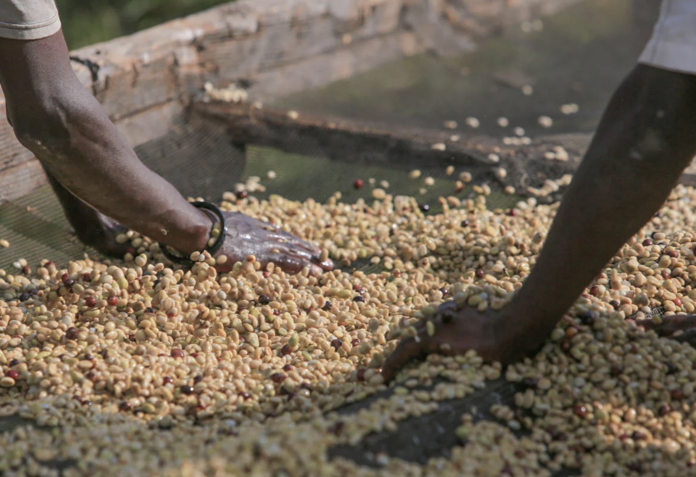 Kenya Kirinyaga Kiri