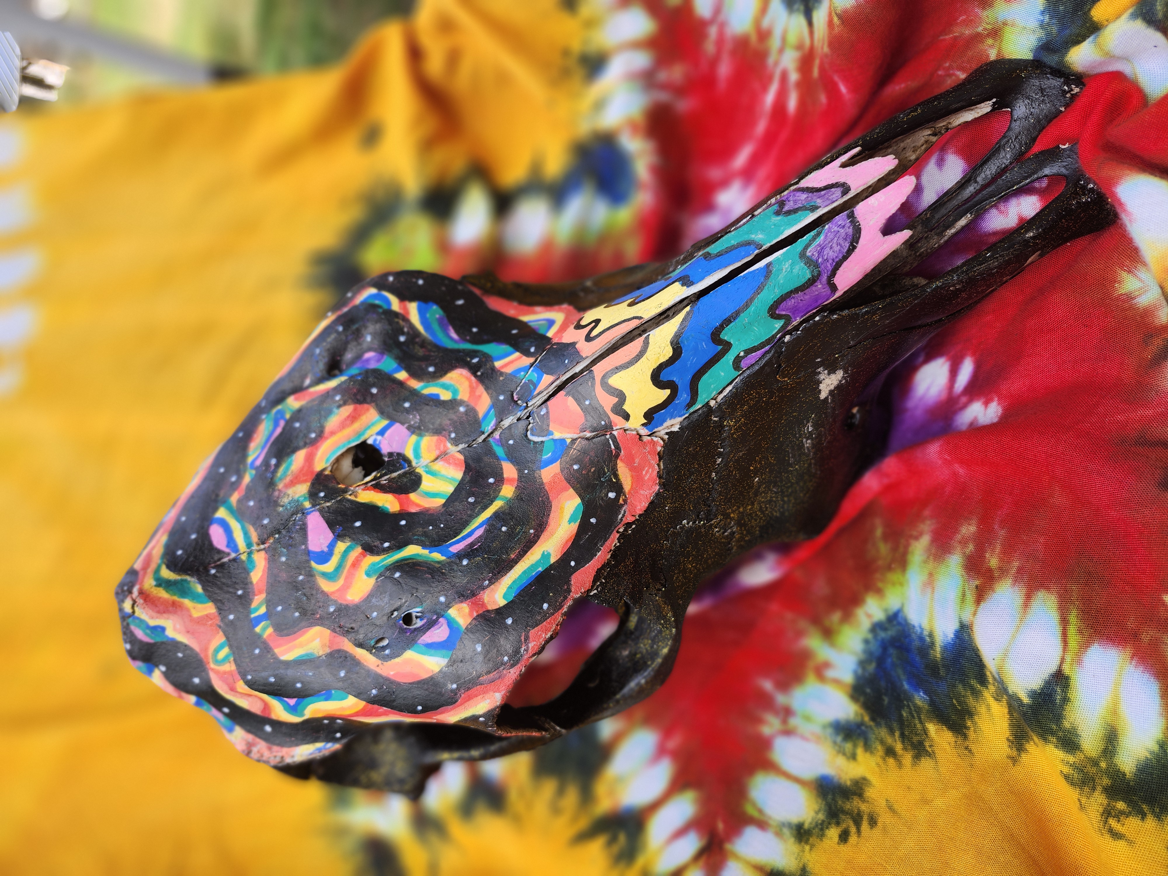 Hand-Painted Animal Skull