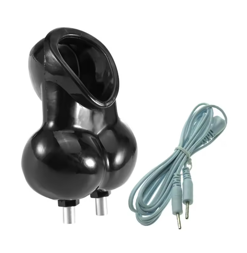 Electrocution of the penis and testicles