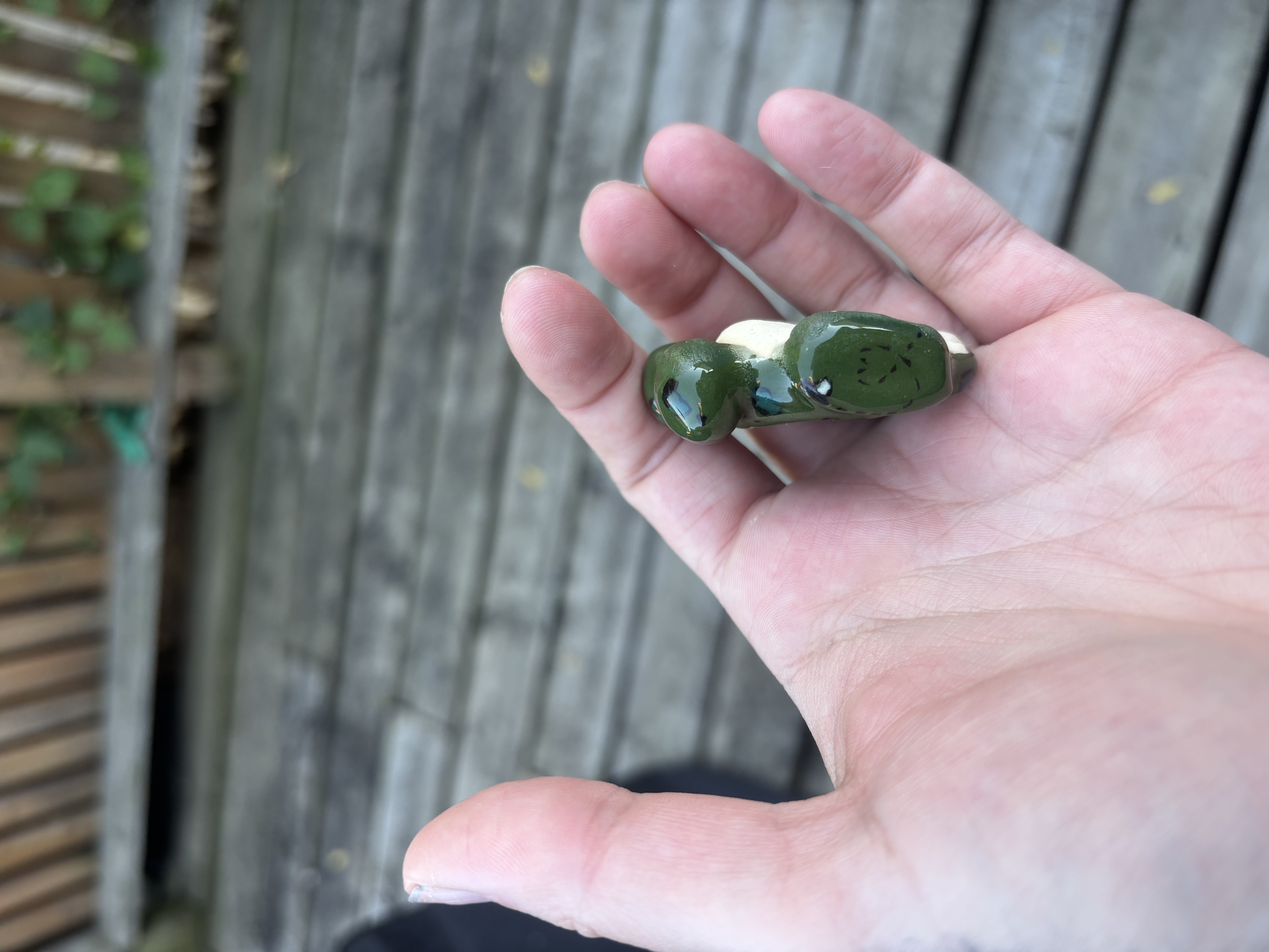 Handmade Frog Worry Stone 