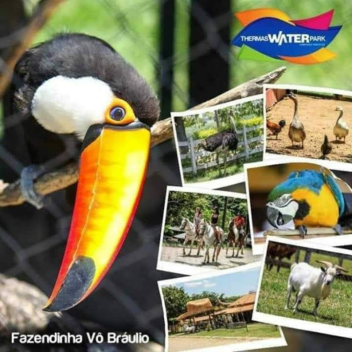14/12/2025 - Thermas Water Park