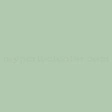 Sage Green Paint