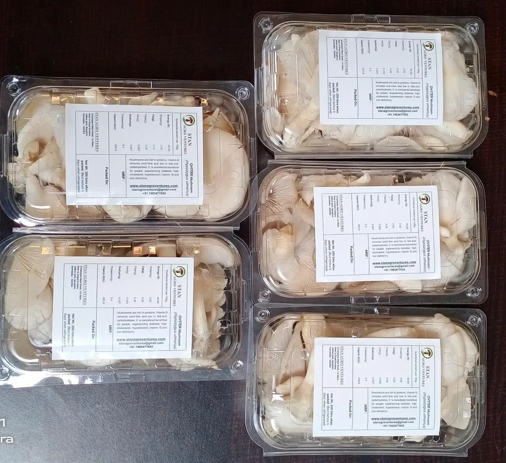 Fresh Sustainable Mushrooms
