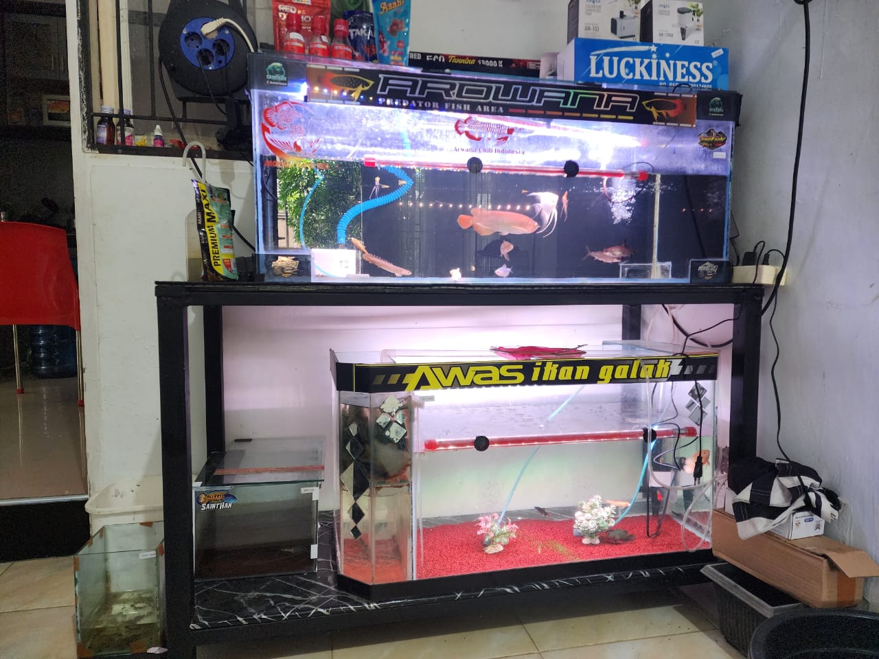 Akuarium Ikan