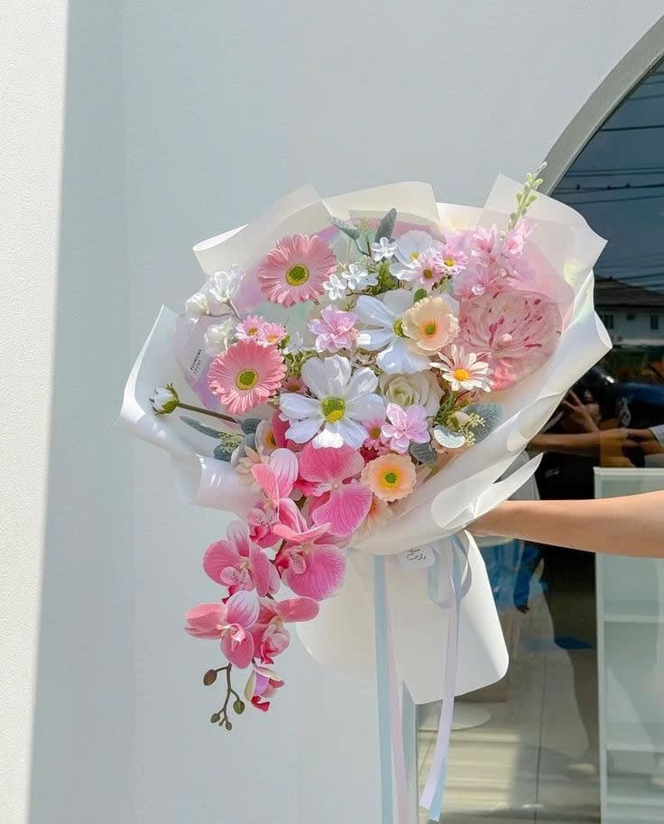 Hoa đồng tiền dài rực rỡ