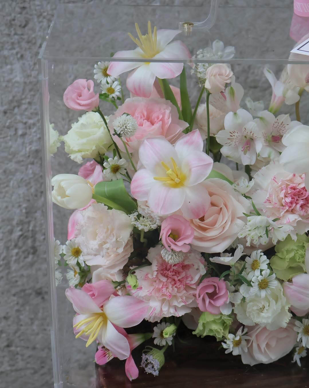 Hộp Hoa Trong Suốt Tươi Sáng – Thanh Thoát & Dịu Êm