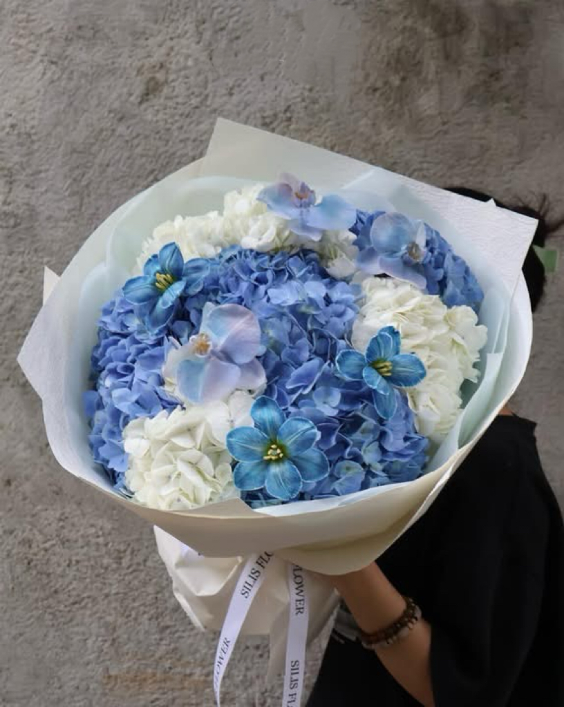 Bó Cẩm Tú Cầu Xanh – Tươi Mát & Ấn Tượng