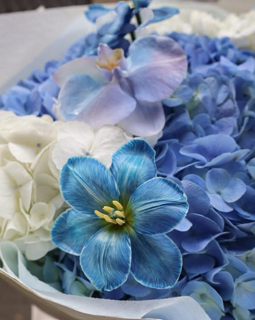 Bó Cẩm Tú Cầu Xanh – Tươi Mát & Ấn Tượng