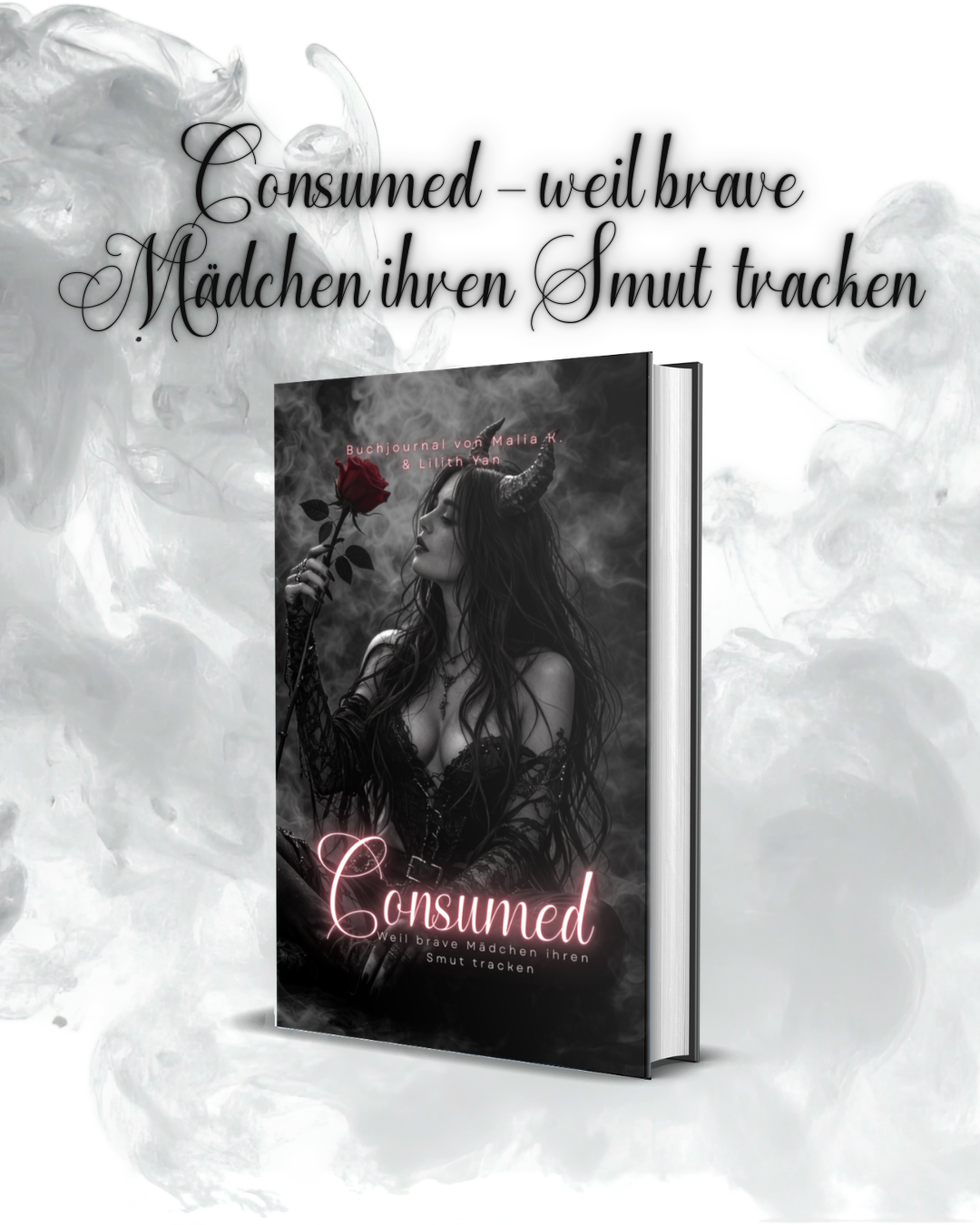 Bookjournal Consumed - Weil brave Mädchen ihren Smut tracken