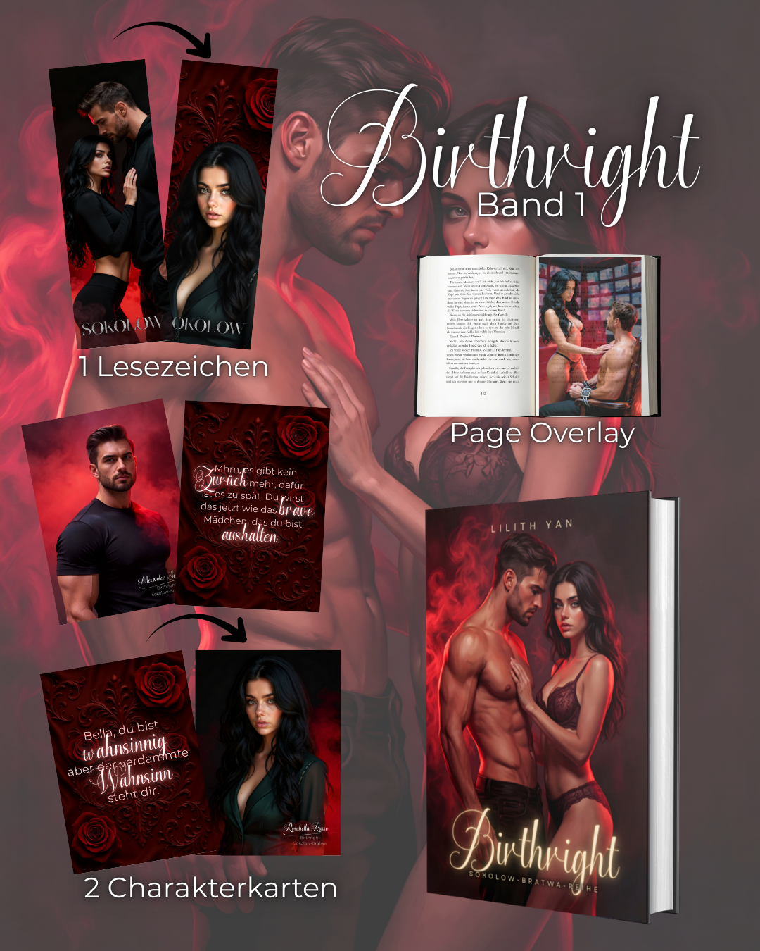 Hardcover BUNDLE - Sokolow-Bratwa-Reihe 