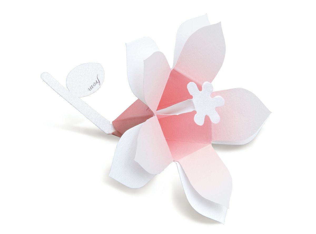 Hana-kotoba –Floral Garden set