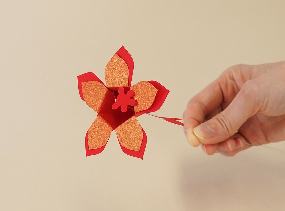 Hana-kotoba –Passion Red set