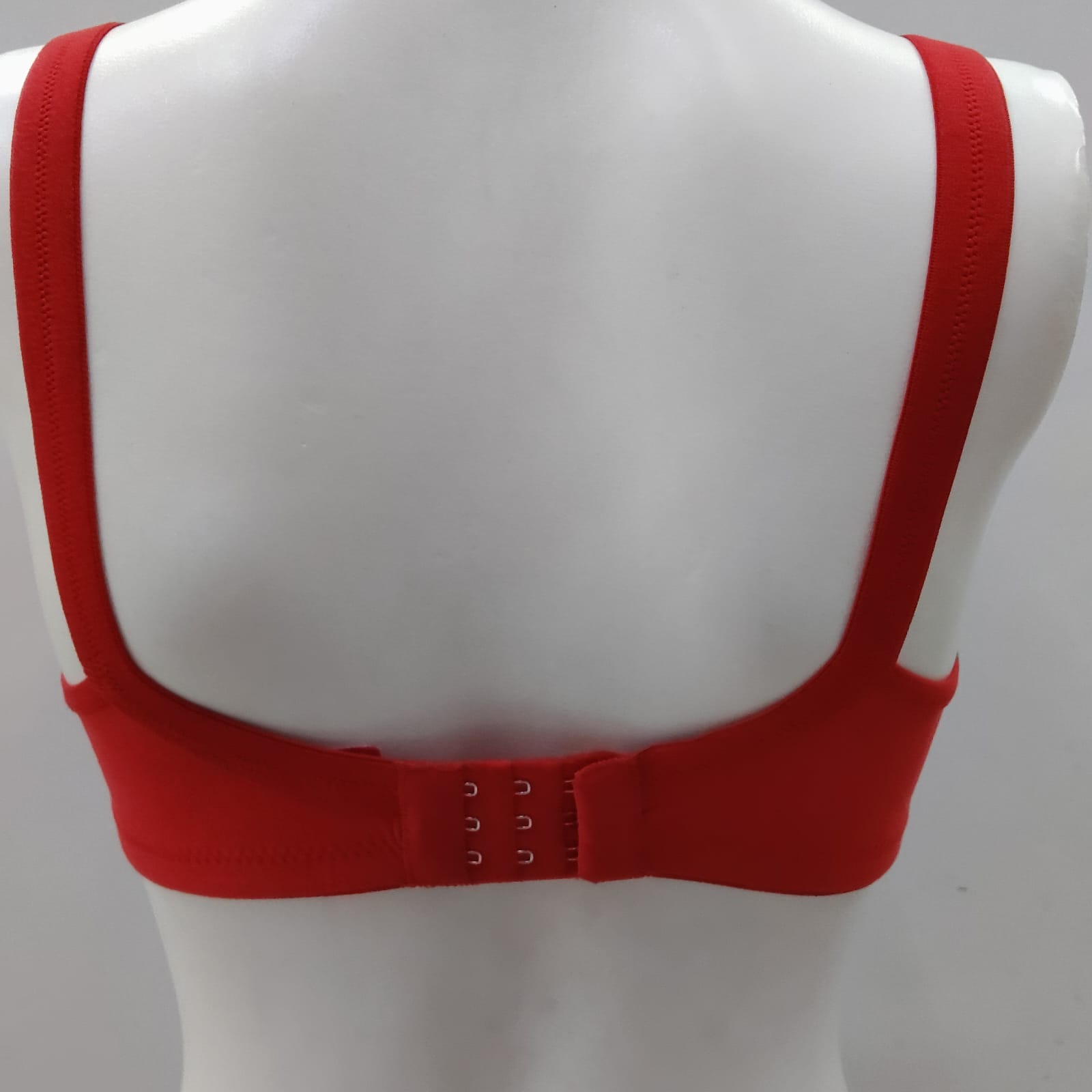 Kamya D Cup Bra  