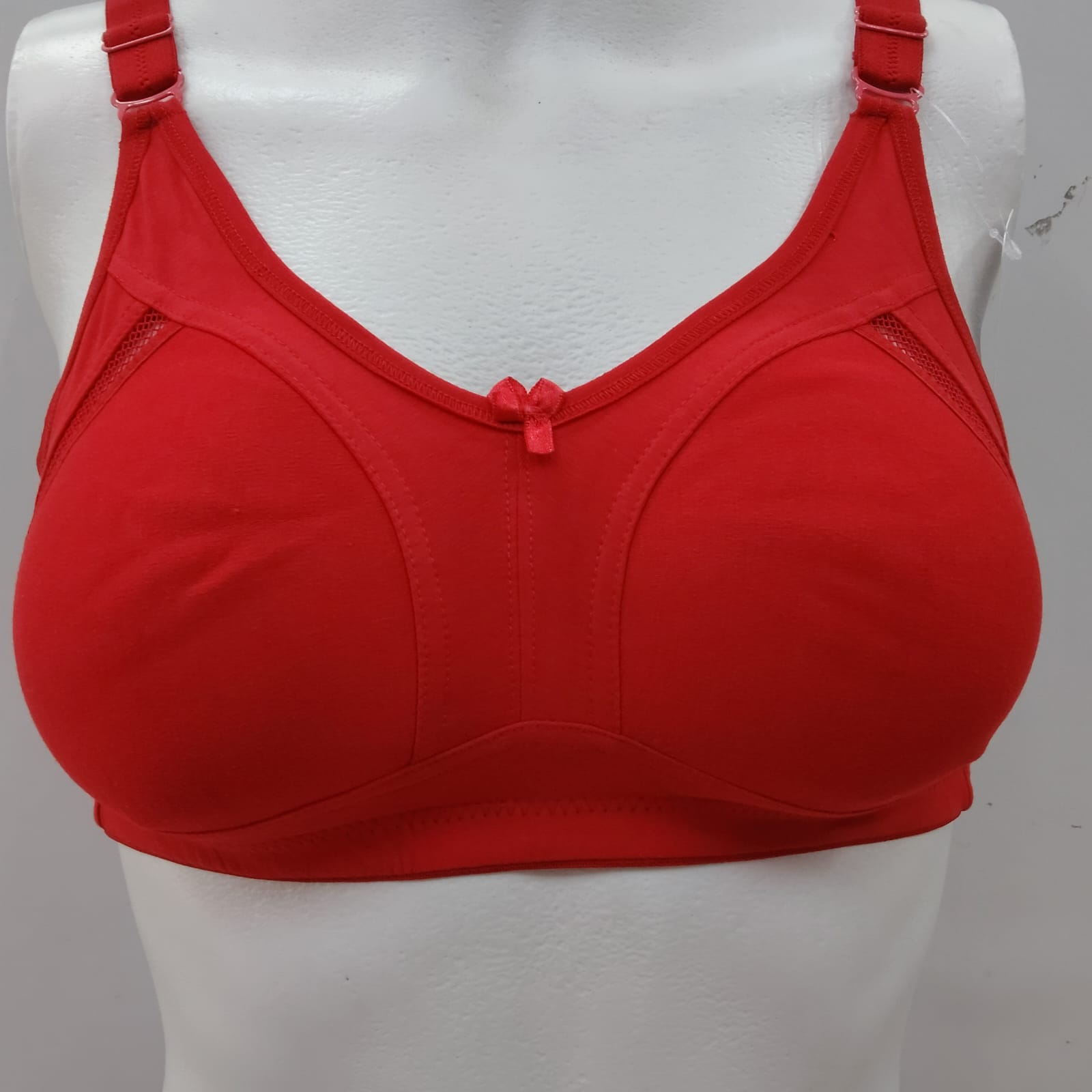 Kamya D Cup Bra
