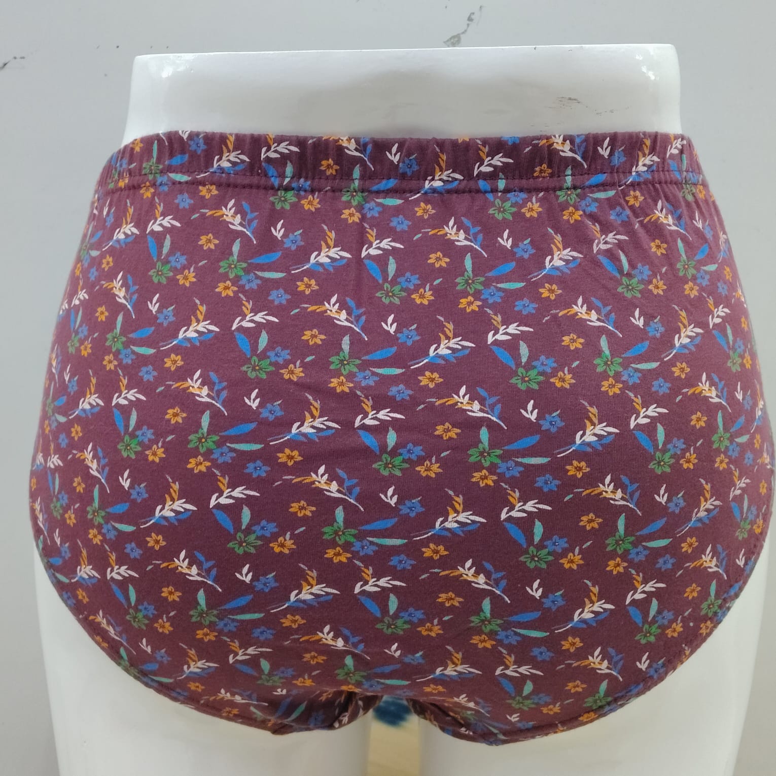 Riya printed panties combo