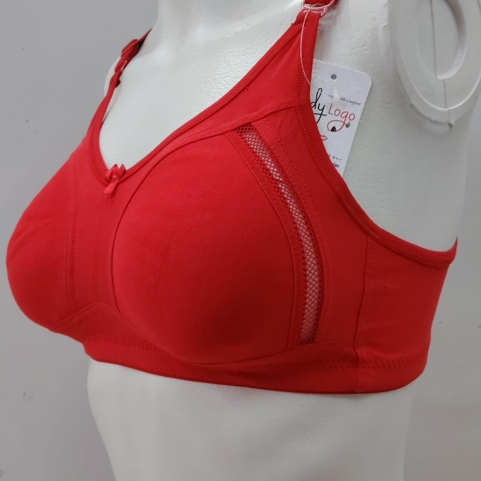 Kamya D Cup Bra  