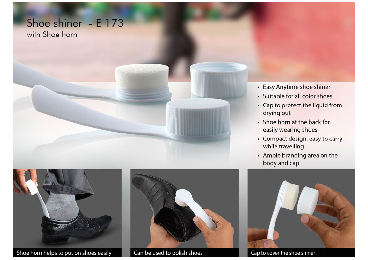 Shoe shiner with shoe horn