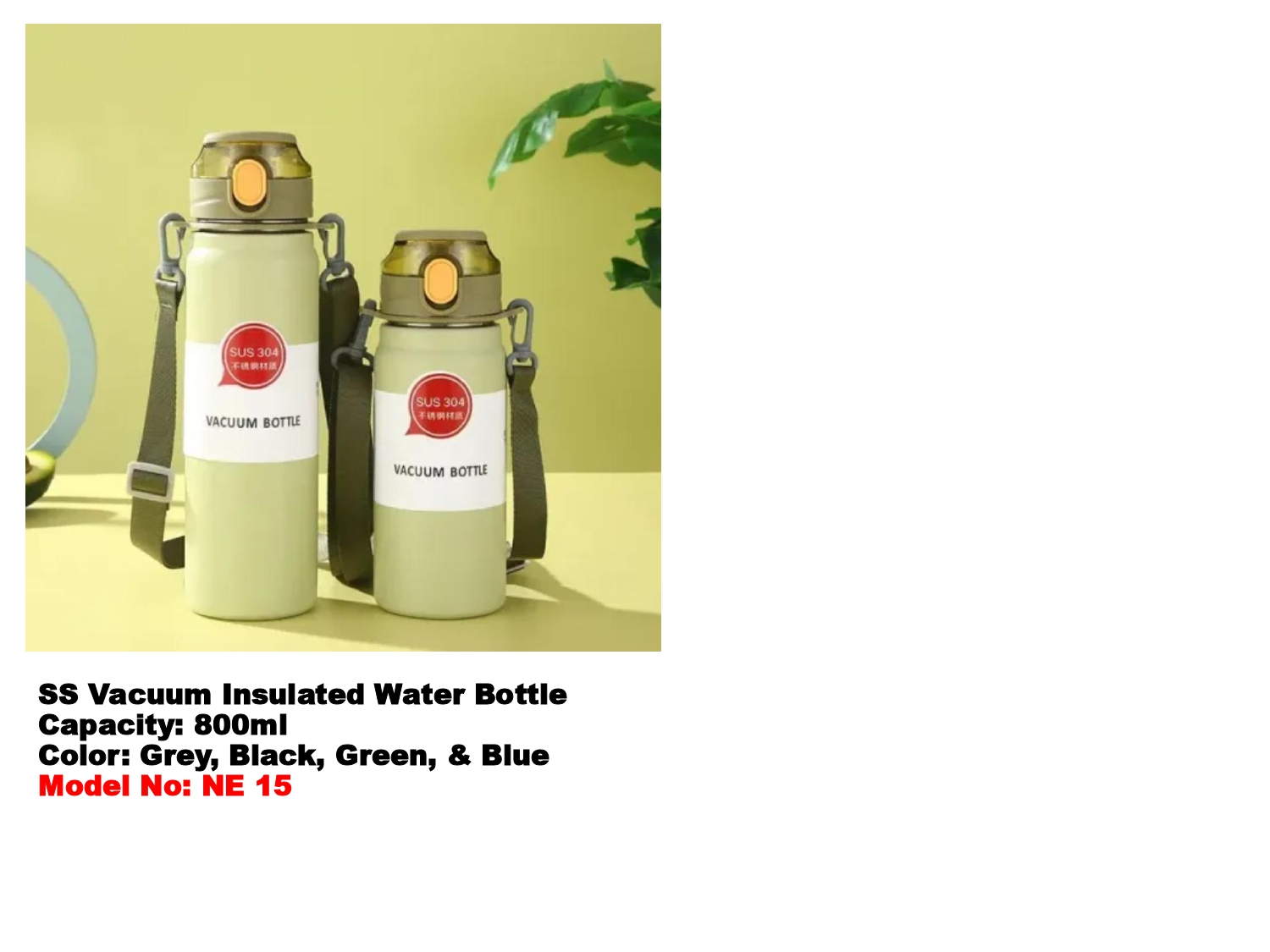 SS Vacuum Insulated Water Bottle MIN 100 PCS