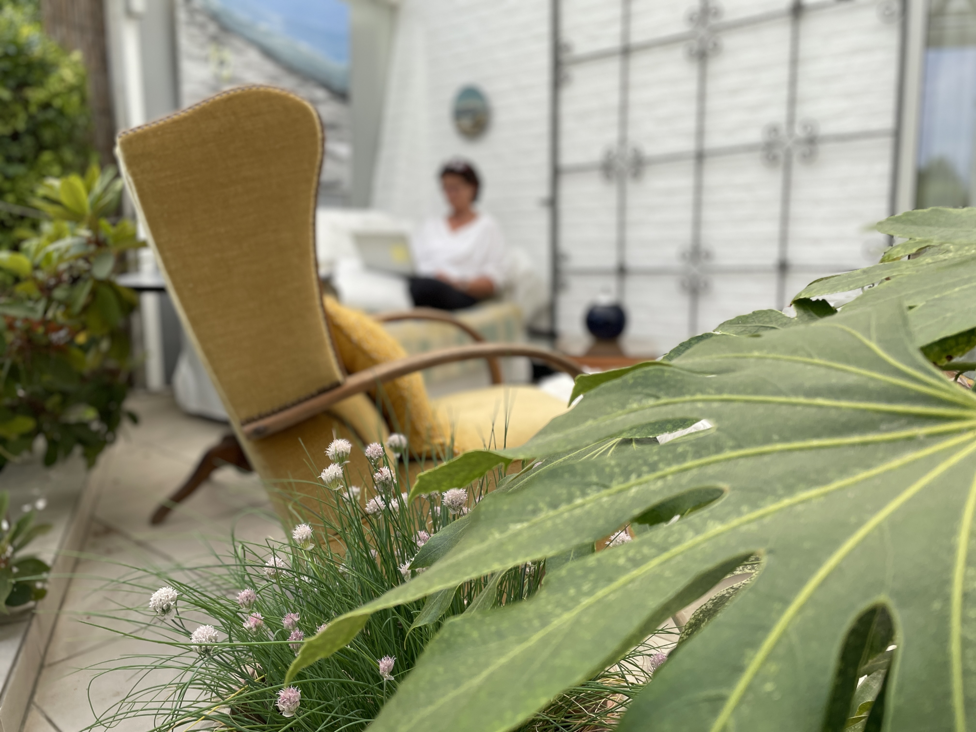 Driedaagse Schrijfcirkel Live Mei 2026 - Broedplek voor wie wil schrijven vanuit het hart