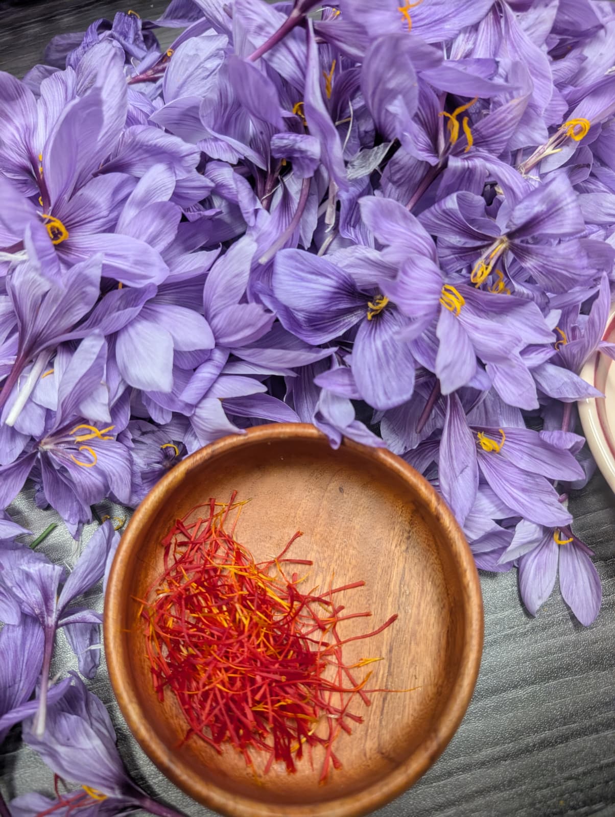 SAFFRON PICKING EXPERIENCE - Nov 8th and 9th