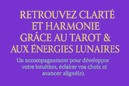 ABONNEMENT ANNUEL D'OCTOBRE 2025 A JUIN 2026