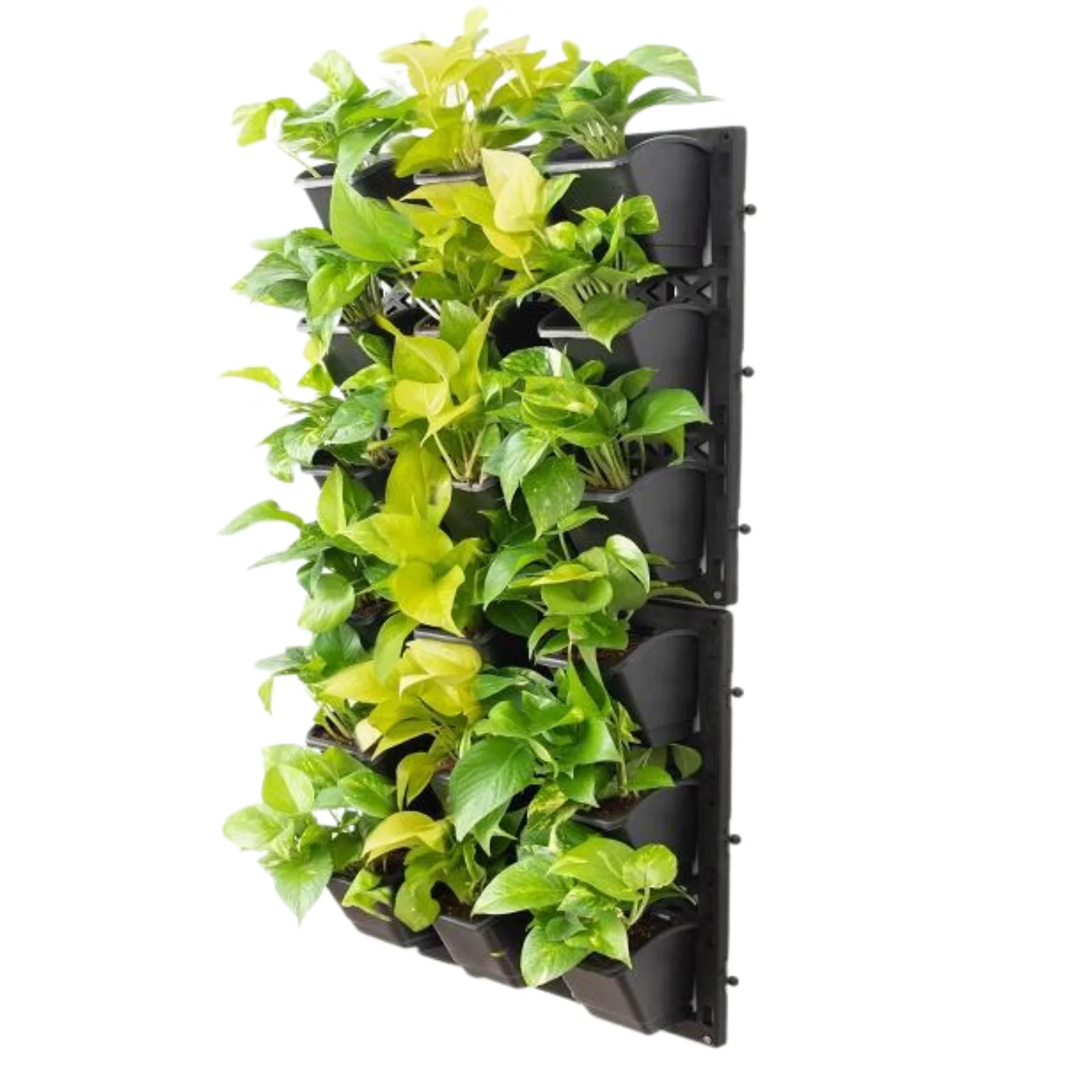 Natural Vertical Garden - Select your plants