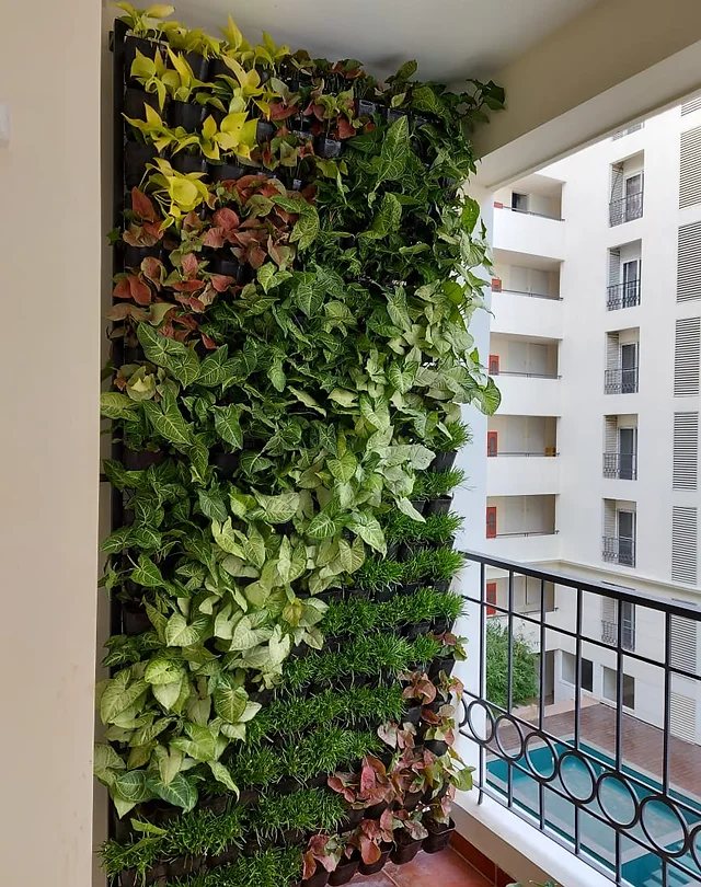 Natural Vertical Garden - Select your plants