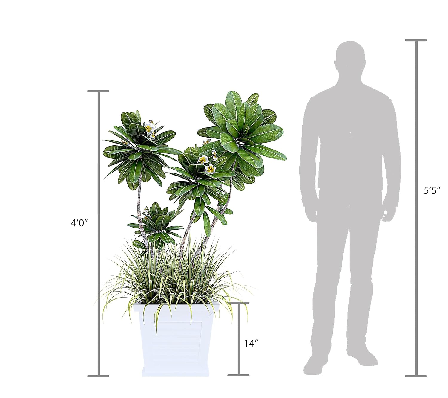 Balcony Bloom Box Package 