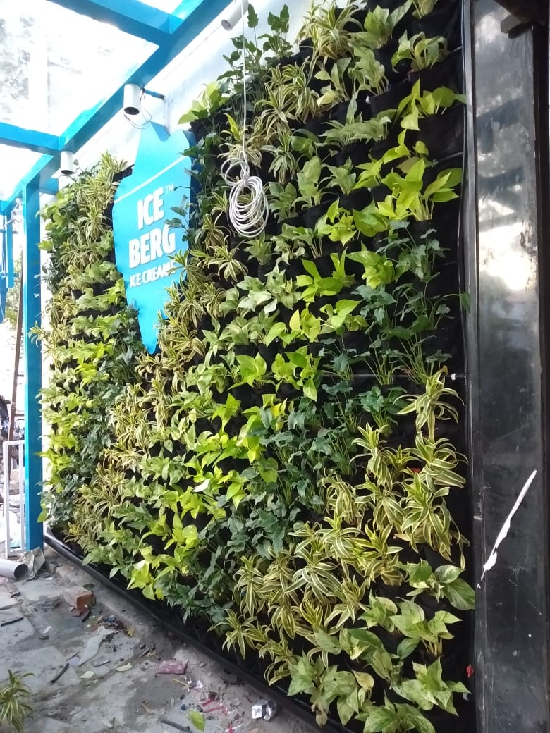 Natural Vertical Garden - Select your plants