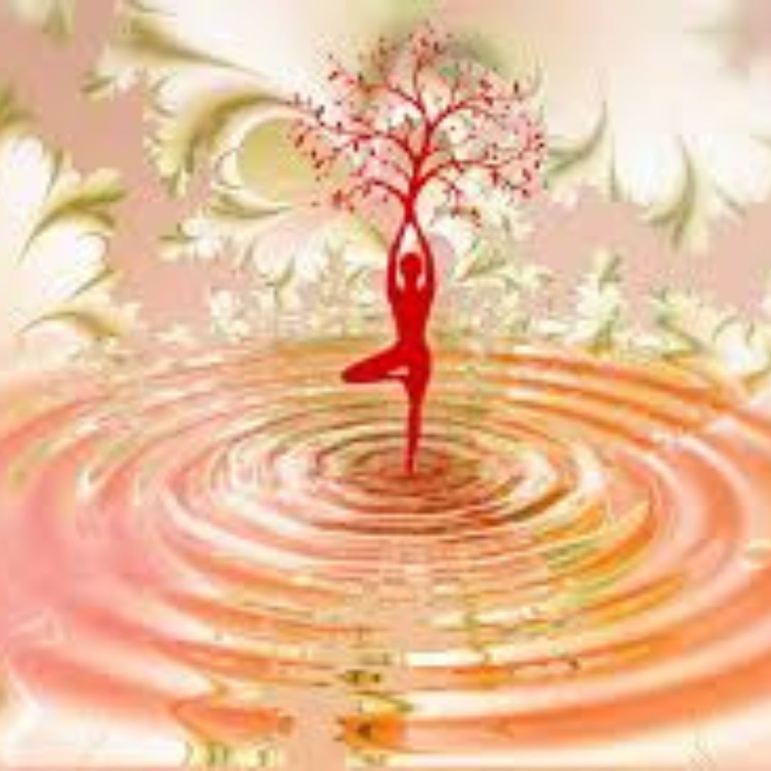 1 Marzo - Il Connettivo 