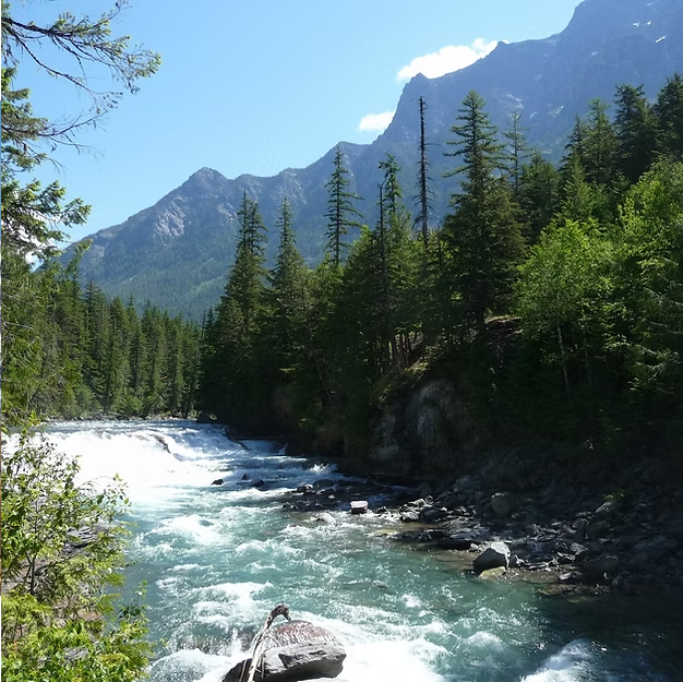 Sun River Salsa Seasoning