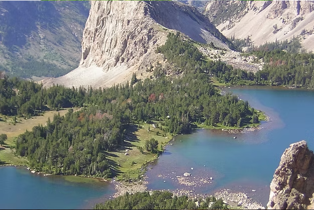 Beartooth BBQ and Grilling Rub