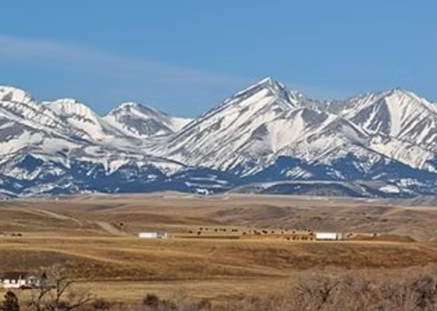 Crazy Mountain Hamburger Seasoning