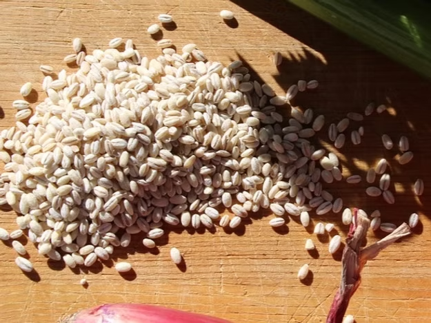 Italian Barley Soup Mix