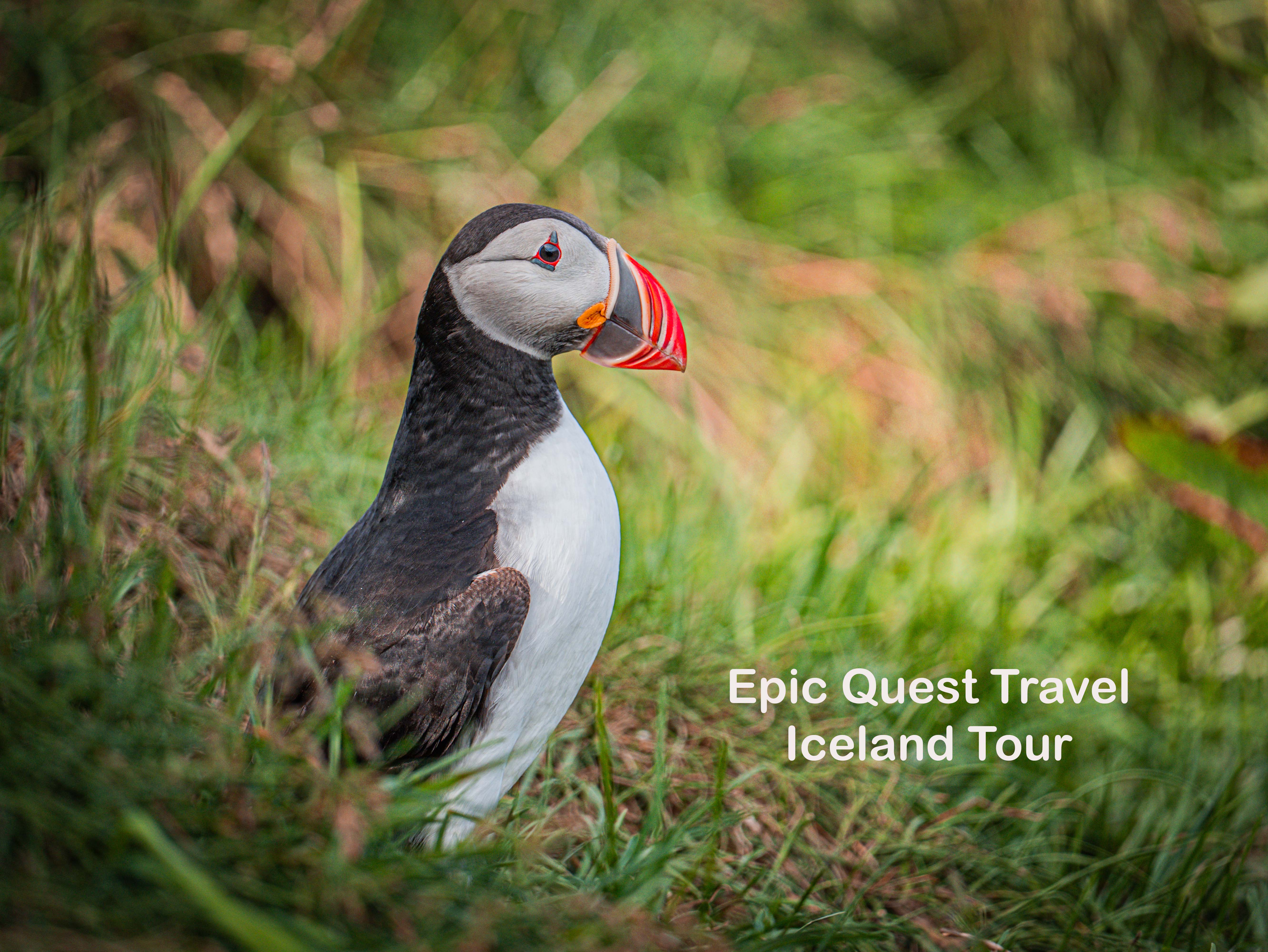Unforgettable Iceland Tour