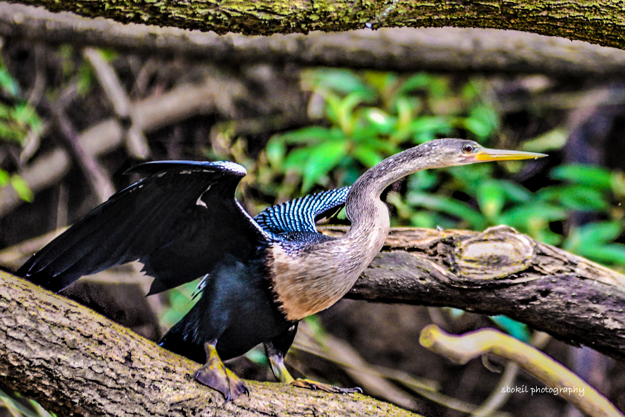 Magical Costa Rica