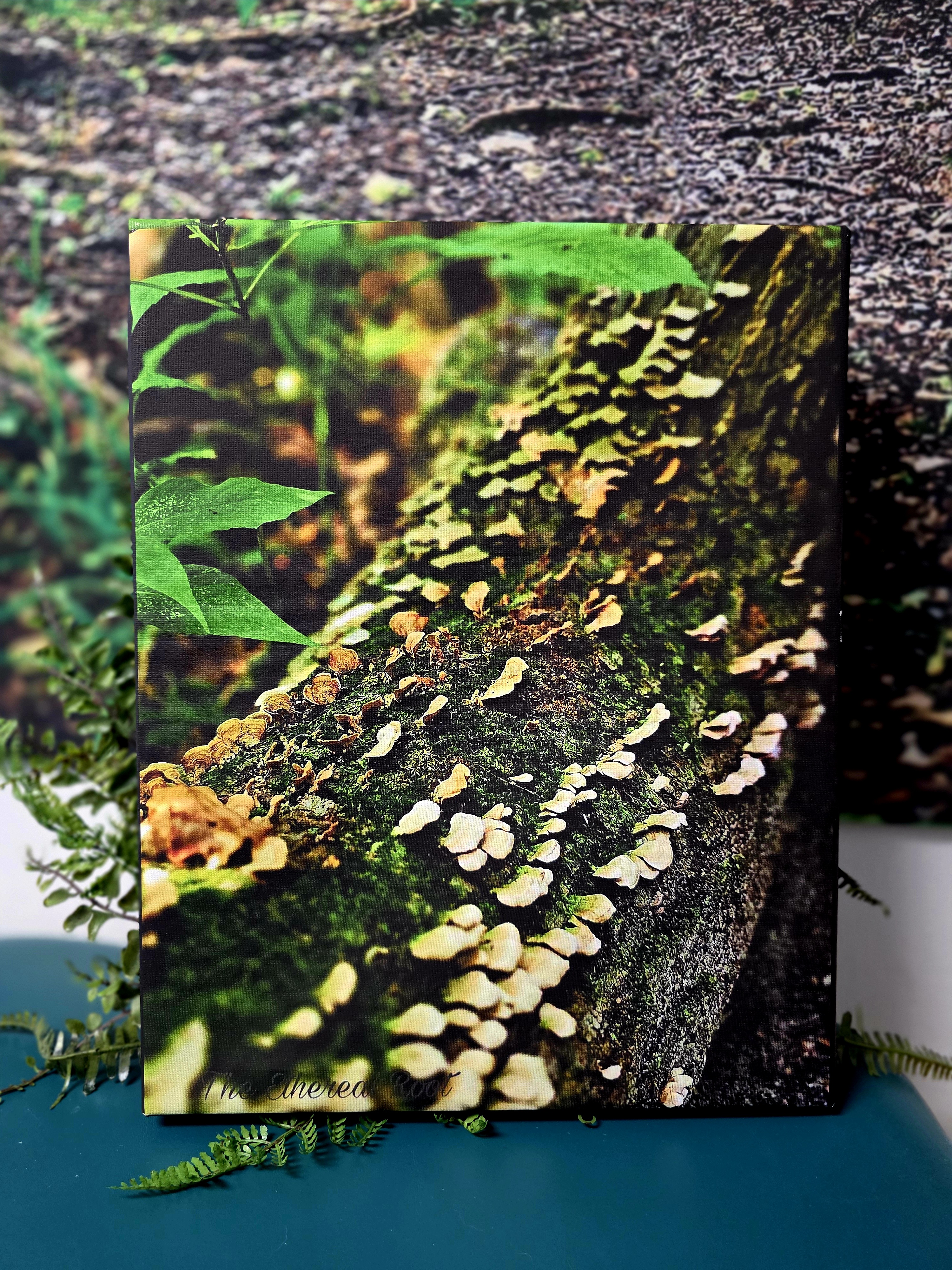 Nature Photography Canvas Print By The Ethereal Root
